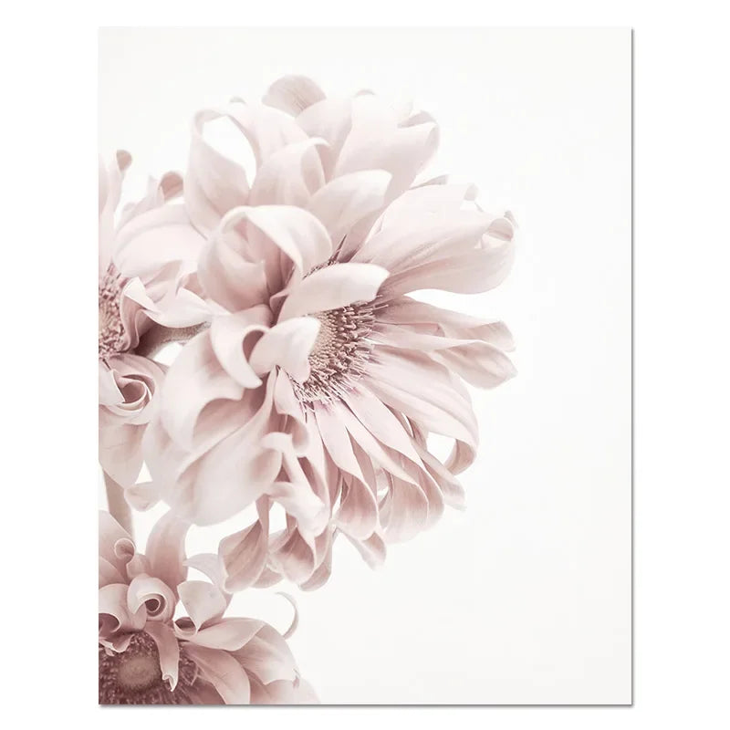 Modern Flower Wall Pictures for Living Room Pink Canvas Printings Unframed Poster Cuadros Decoracion Salon Wall Art Painting