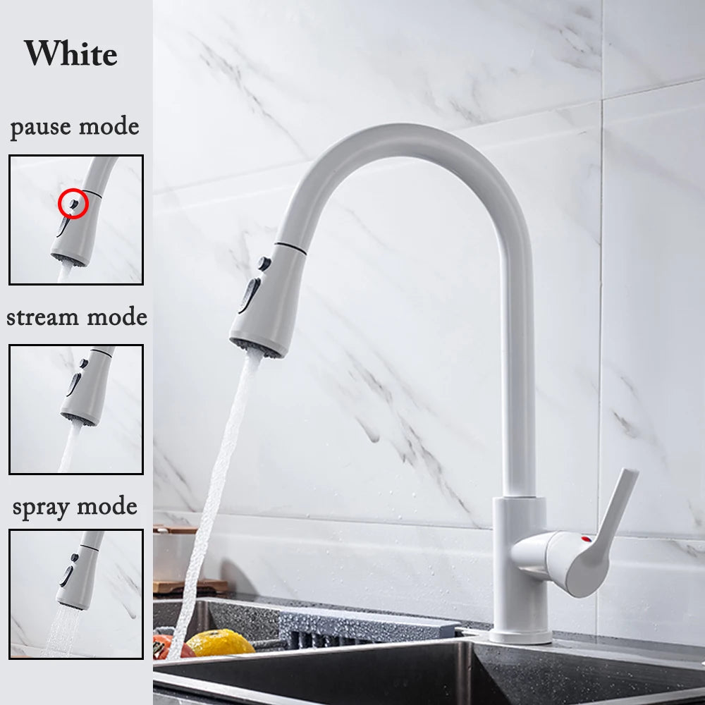 Robinet de cuisine noir Robinet de cuisine à tirer Mitigeur d’évier de cuisine Robinet brossé Nickle Stream Pulvérisateur Tête Chrome Robinet d’eau de cuisine