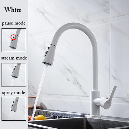 Robinet de cuisine noir Robinet de cuisine à tirer Mitigeur d’évier de cuisine Robinet brossé Nickle Stream Pulvérisateur Tête Chrome Robinet d’eau de cuisine